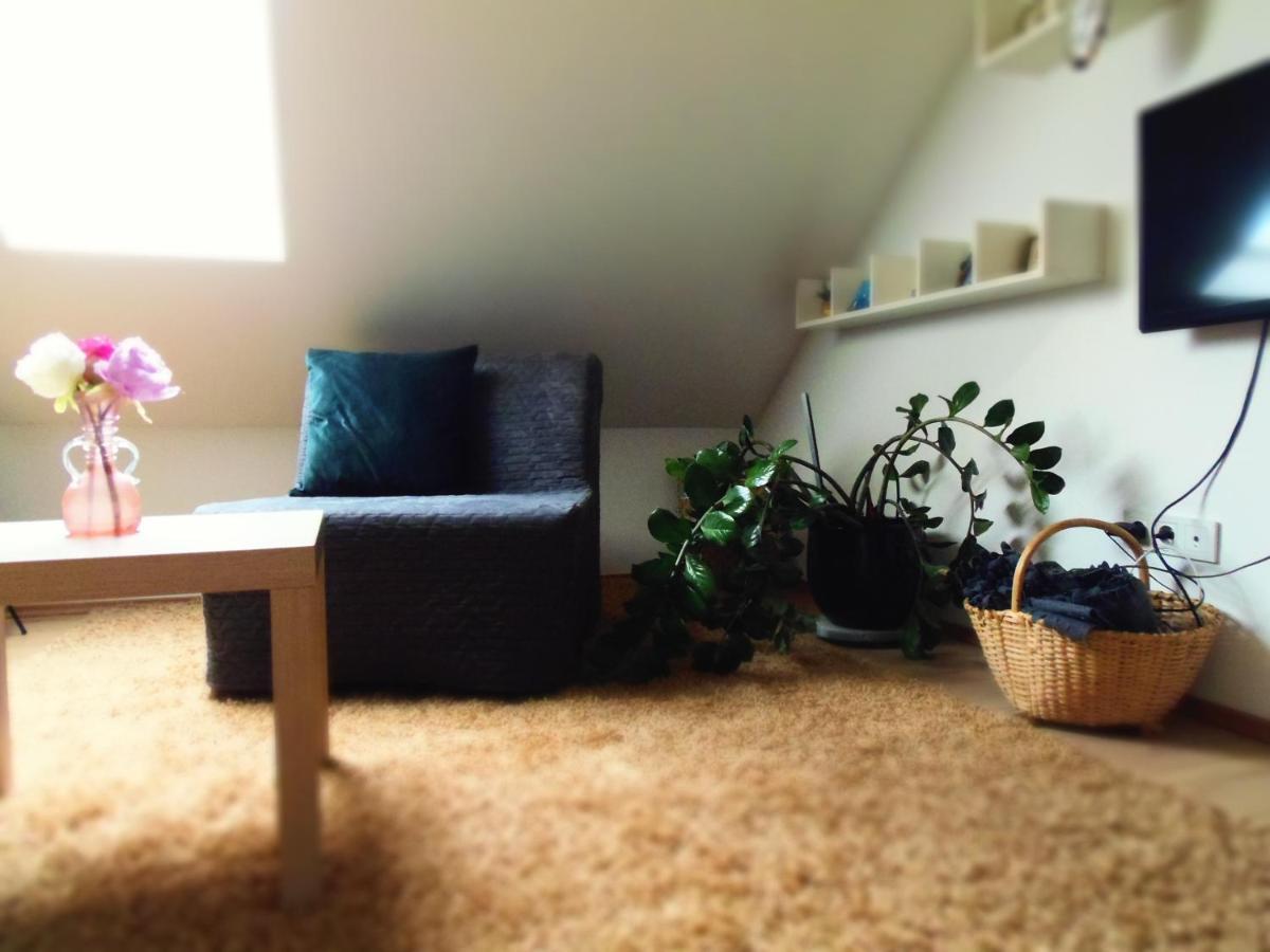 Apartman Katarina ザグレブ エクステリア 写真